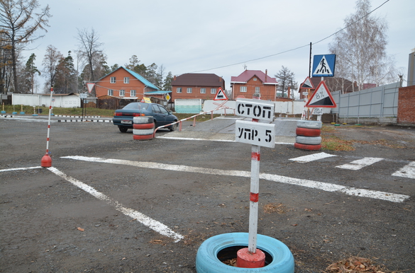 Новосибирские автошколы пока не готовы к обучению водителей