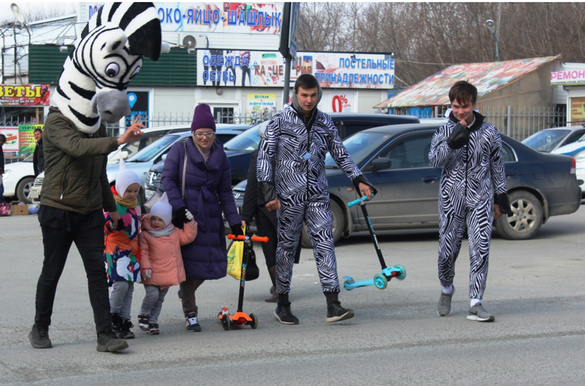 Зебры в Новосибирске!