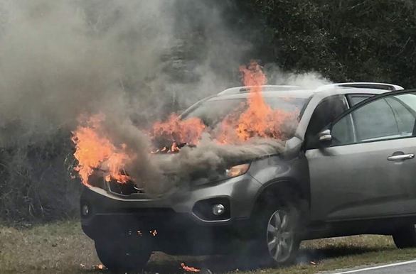 Корейские автомобили уличили в пожароопасности