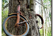 Экологи «ставят палки в колеса» велосипедистам