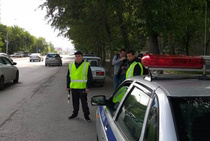 Автоинспекторы-добровольцы прошли стажировку